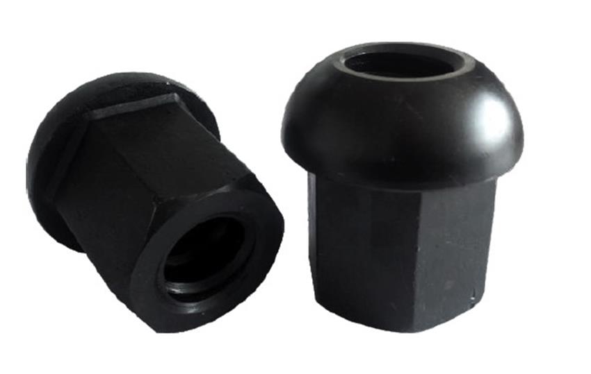 Domed NutĢ^ĸ.jpg